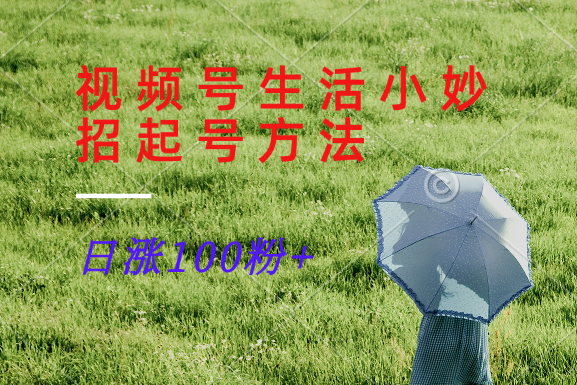 视频号生活小妙招分享赛道， 起号涨粉新方法，日涨100粉-云创未来