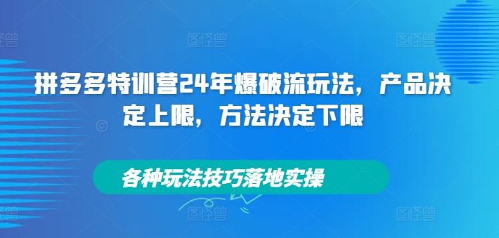 拼多多特训营24年爆破流玩法，产品决定上限，方法决定下限，各种玩法技巧落地实操-云创未来