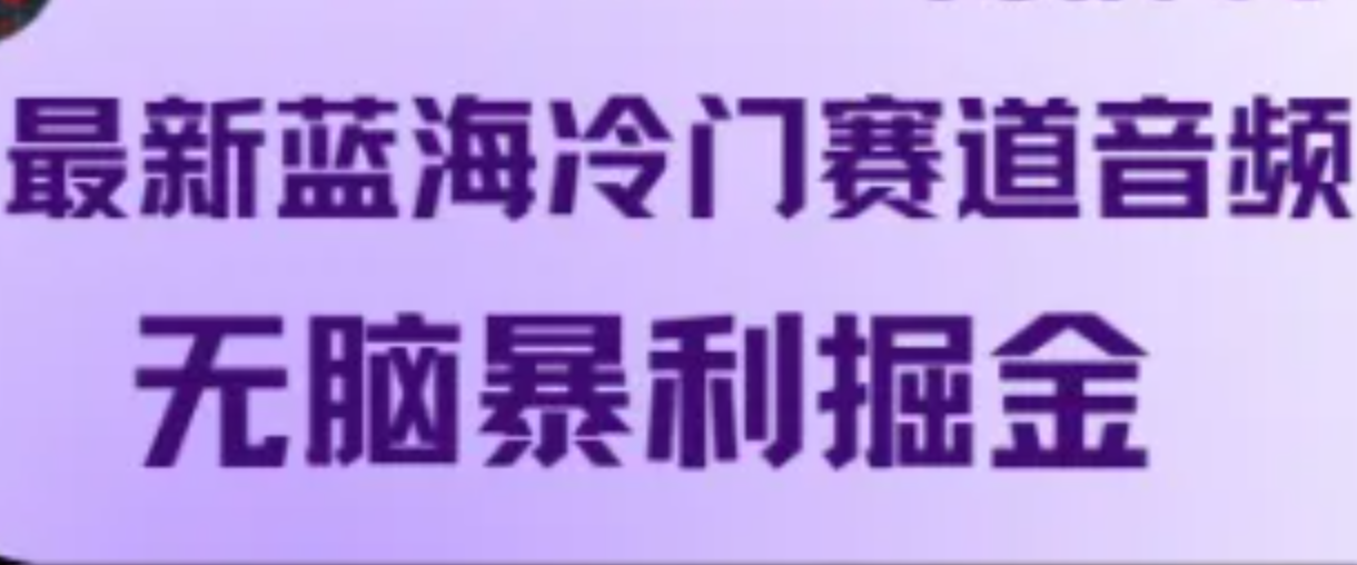 最新蓝海冷门赛道音频，无脑暴利掘金-云创未来