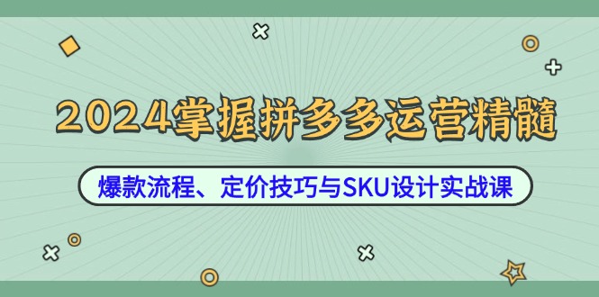 2024掌握拼多多运营精髓：爆款流程、定价技巧与SKU设计实战课-云创未来