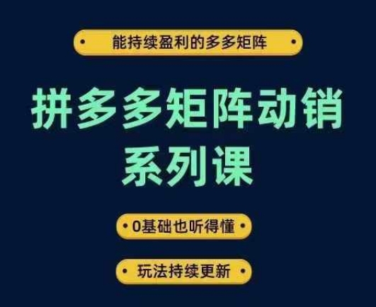 拼多多矩阵动销系列课，能持续盈利的多多矩阵，0基础也听得懂，玩法持续更新-云创未来