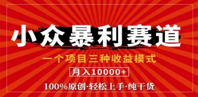 视频号最新爆火赛道，三种可收益模式，0粉新号条条原创条条热门 日入1000+-云创未来