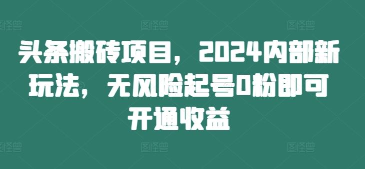 头条搬砖项目，2024内部新玩法，无风险起号0粉即可开通收益-云创未来