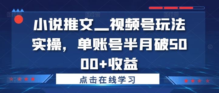 小说推文—视频号玩法实操，单账号半月破5000+收益-云创未来
